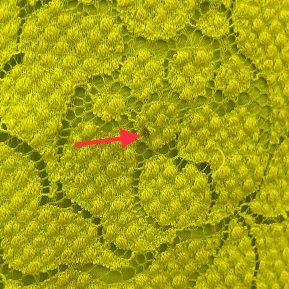 Banana Republic Short Sleeve Floral Lace Dress size Small - Picture 15 of 15